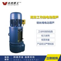 天津津南起重機(jī)銷(xiāo)售—未來(lái)重工CD電動(dòng)葫蘆