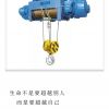東莞大朗防爆電動(dòng)葫蘆銷(xiāo)售安裝廠家維修
